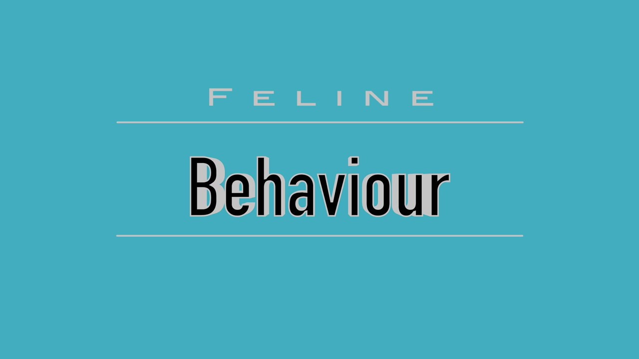 Feline Behaviour (VETERINARY ASSISTANT EDUCATION)