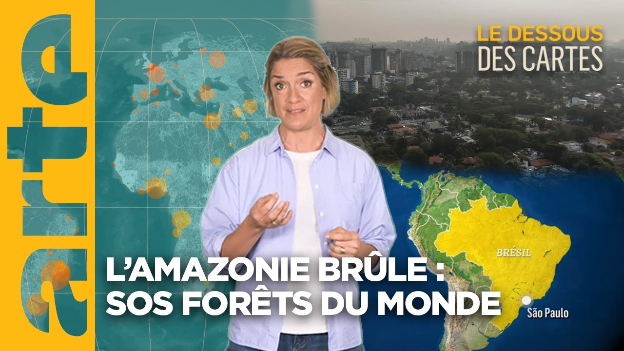 L’Amazonie brûle : sos forêts du monde | L'essentiel du Dessous des Cartes | ARTE