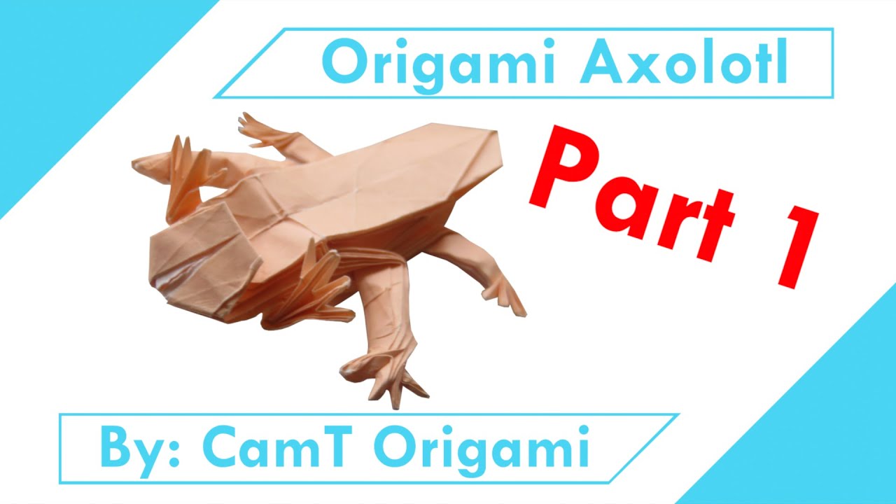 Origami Axolotl (Part 1)