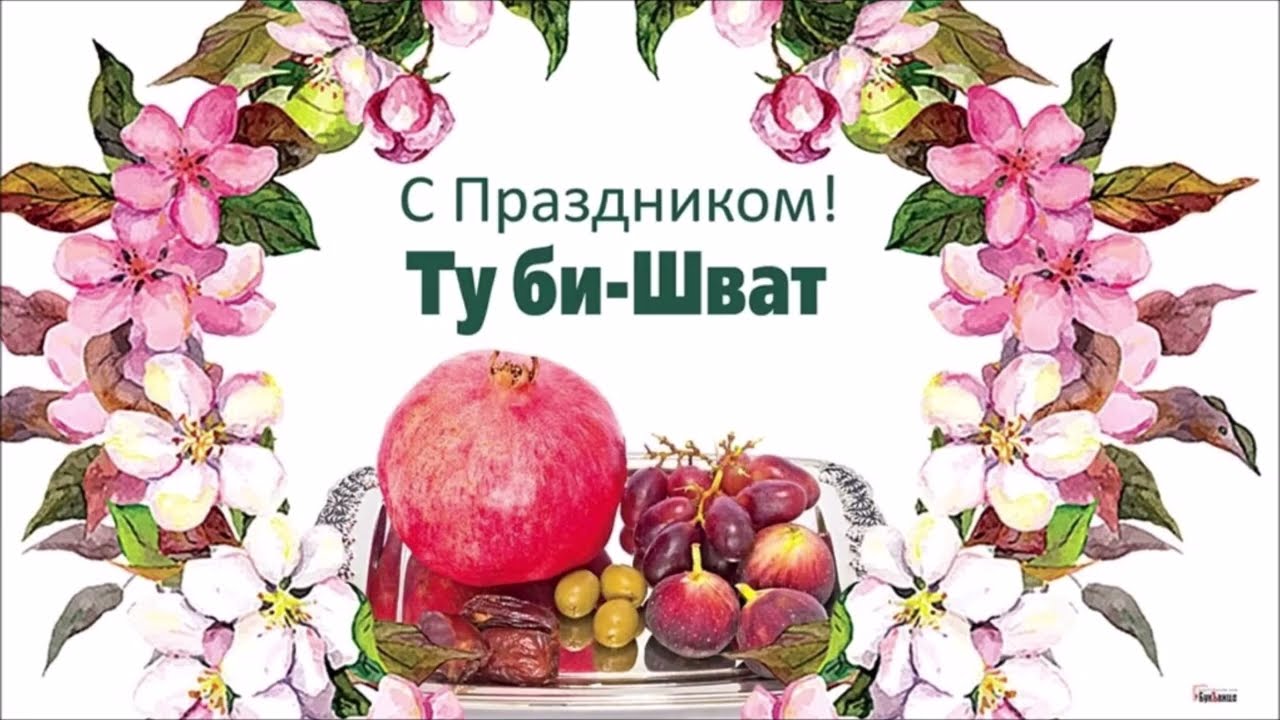 ТУ БИ ШВАТ 5786. Песня из цикла * Еврейские праздники *