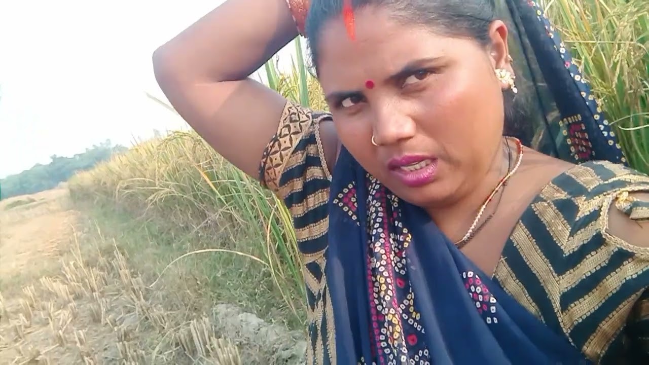 13 नवंबर 2025