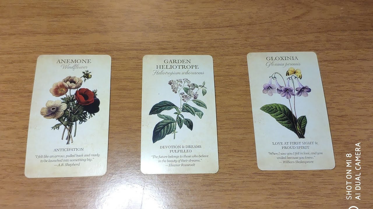 Pick A Card Ποια θα είναι η επόμενη σχέση σας; #ταρω #tarot