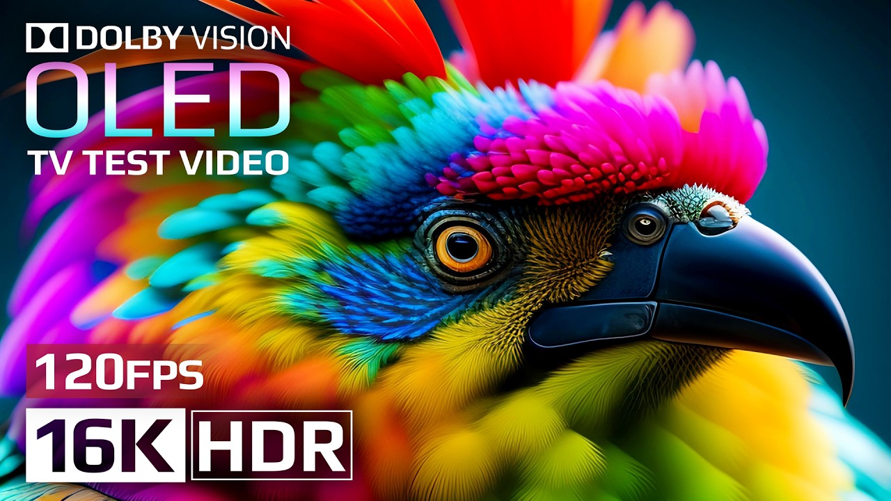 OLED TEST | Amazing Earth 🌏 Best of Dolby Vision 16K HDR 120fps