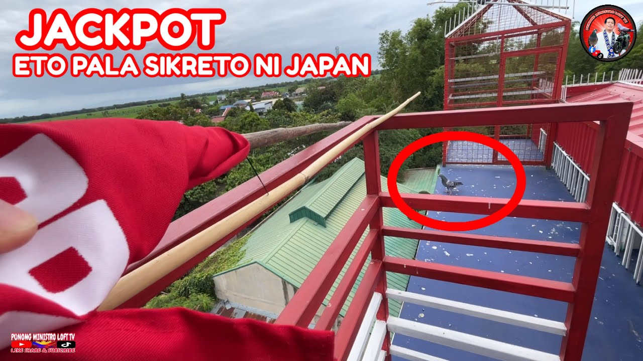EP1217 JACKPOT ETO PALA SIKRETO NI JAPAN PARA MABILIS PUMASOK SHEEES! 
