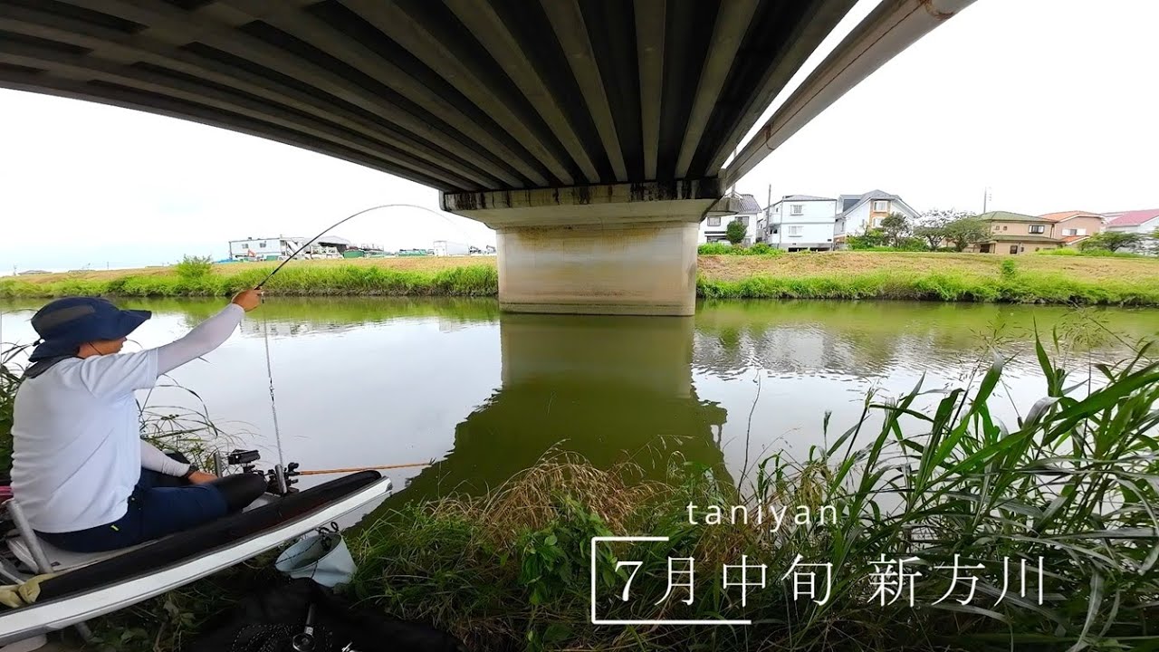 ７月中旬  埼玉県越谷市 新方川 橋の下で短い竿