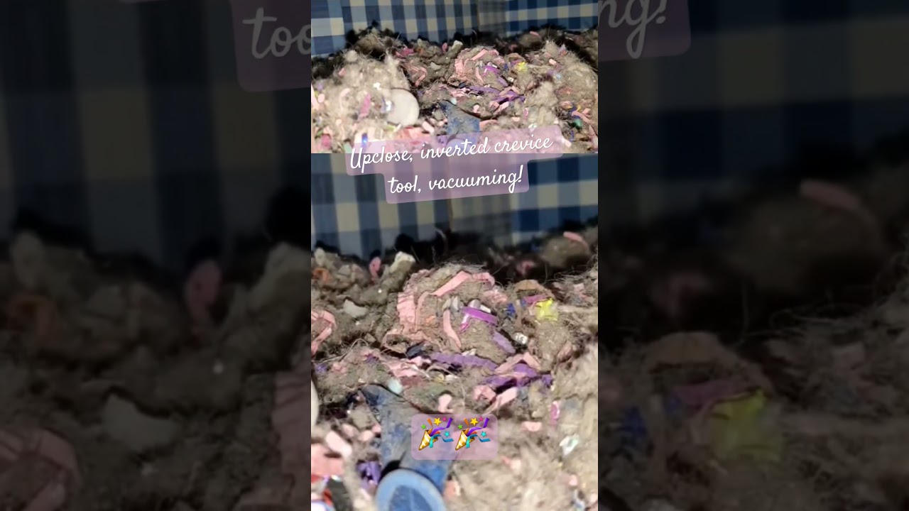 #satisfying #crunchyvacuuming #strangerthings #messtest #vacuumingasmr #vaccommunity