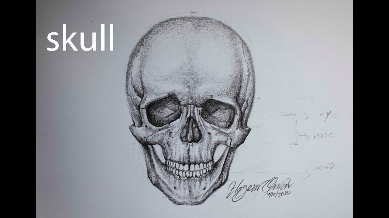 How to draw and shade a skull with pencil | front view