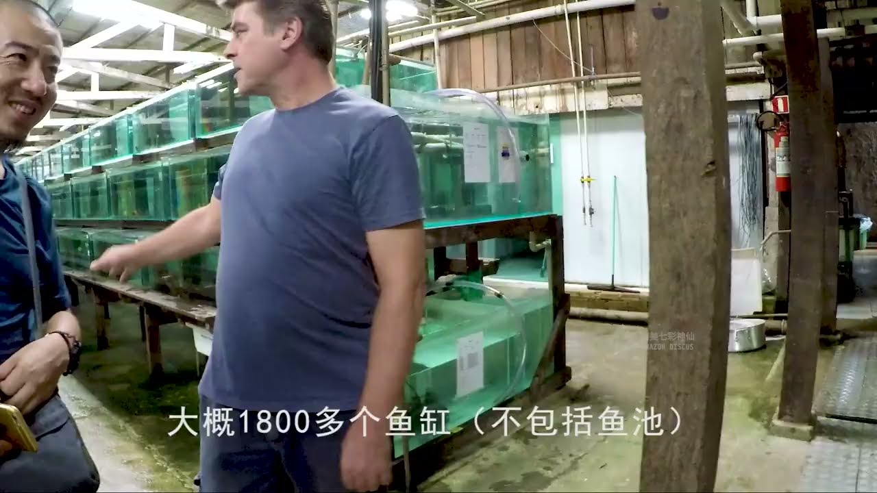 Компания по экспорту декоративных рыб в Белеме, Бразилия, в 2017 году.