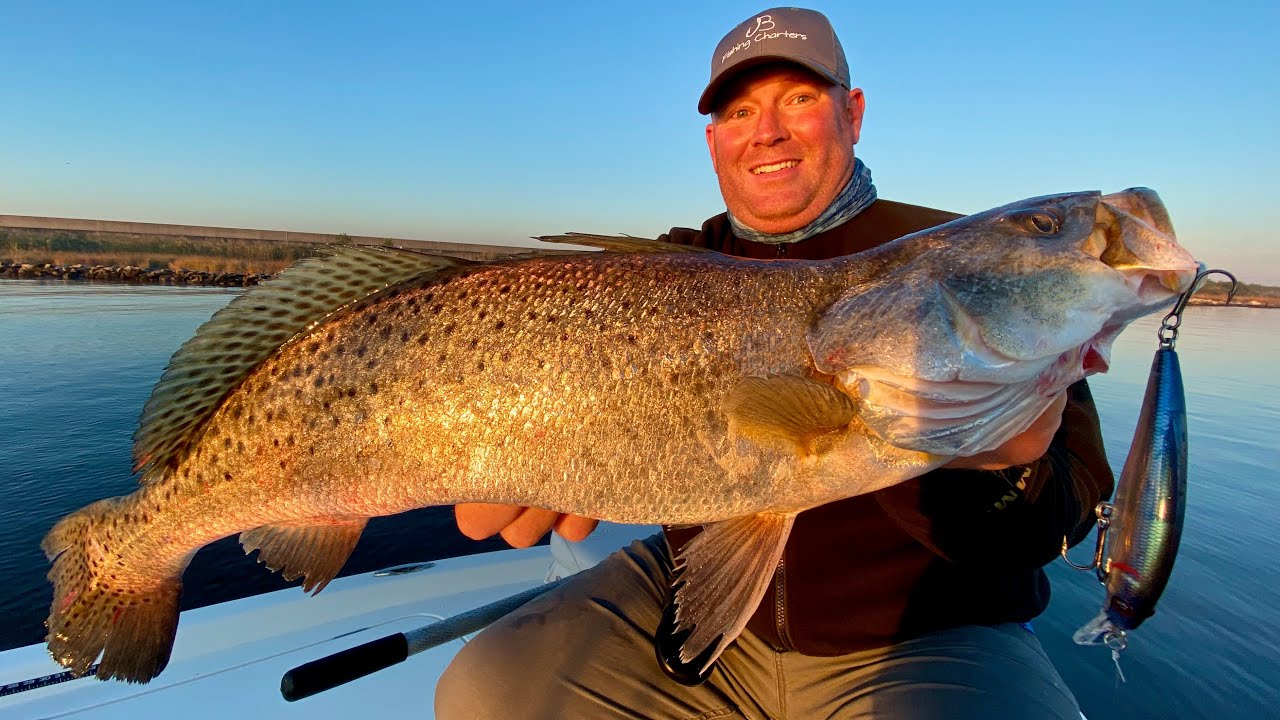 Big SPECKLED TROUT in popular community hole!