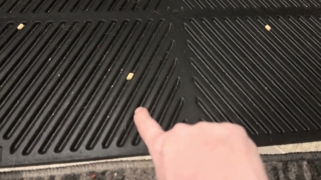 The Best Litter Mat? This is a Game Changer! No More Mess! Scatter Control