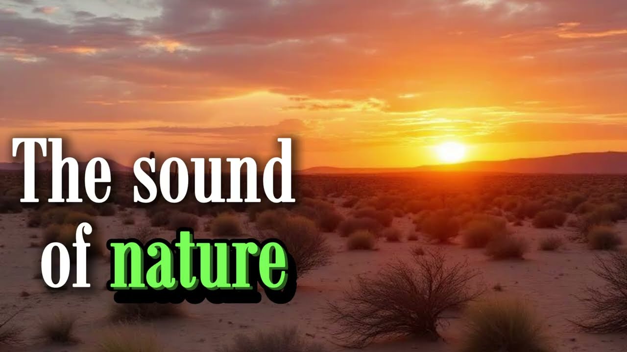 The Sound of Nature - Hour of Pure Relaxation, Calm & Peaceful Ambient | The Musical and Universal