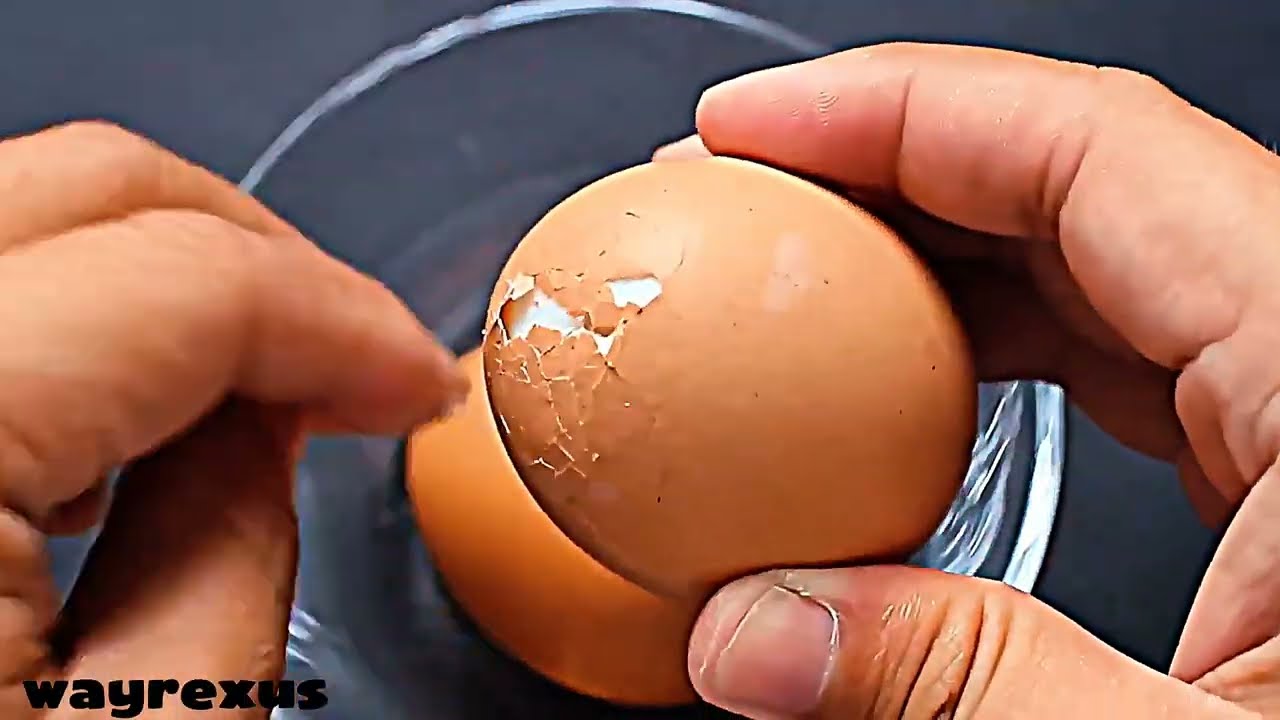 6 Awesome Food Life Hacks You&rsquo;ll Wish You Knew Sooner 🍔 | Smart Kitchen  @wayrexus