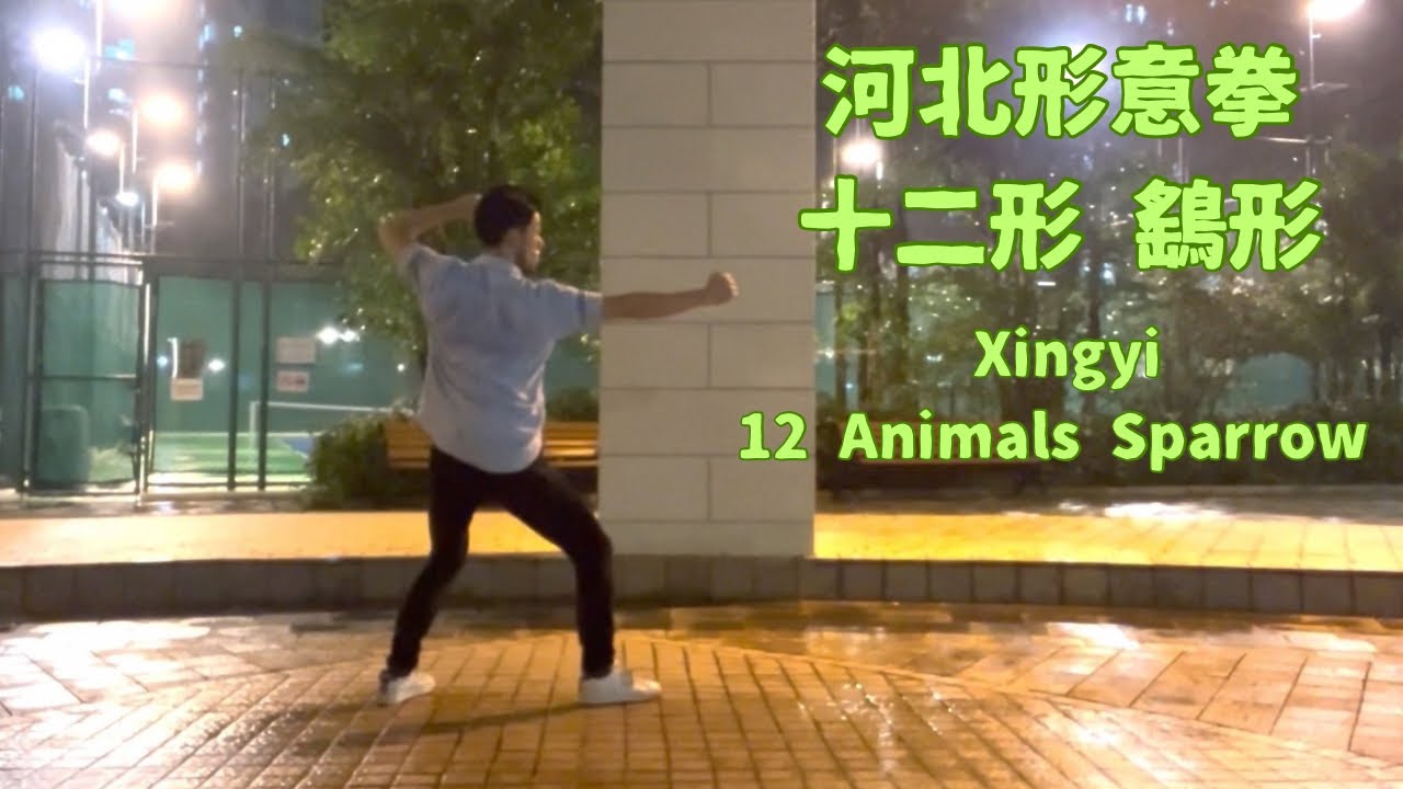 【河北形意拳】十二形 鷂形 Xingyi 12 Animals Sparrowhawk 