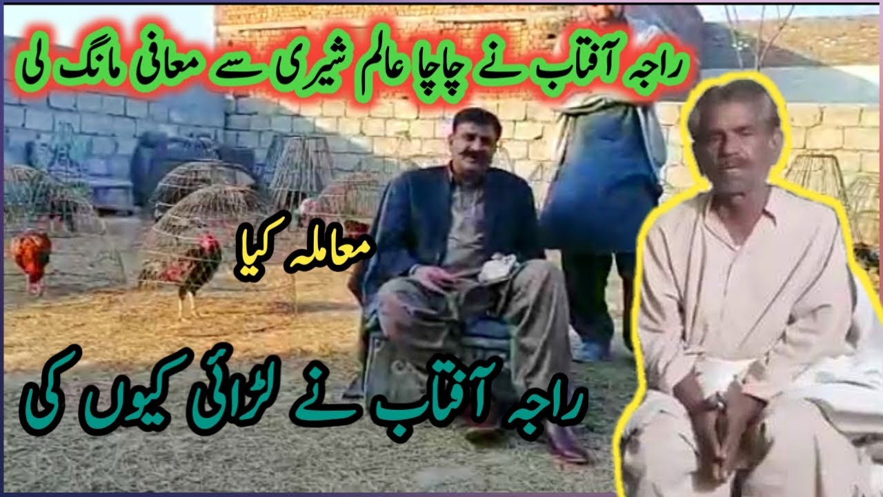 Raja Aftab Murg Baaz Message Of Chacha Alam Sheri || Alam Sheri Ne (چیلنج) Kr Dia | Alam Sheri