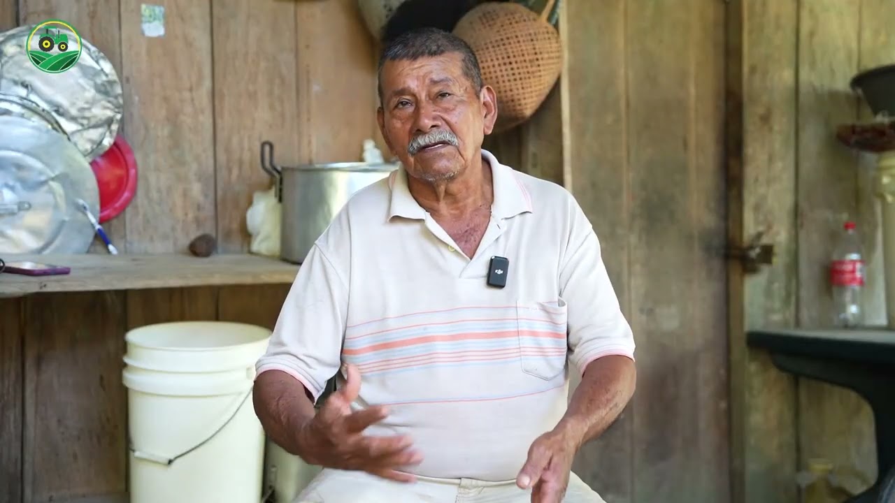 CULTOVO DE COCO - En el departamento del Meta, Colombia