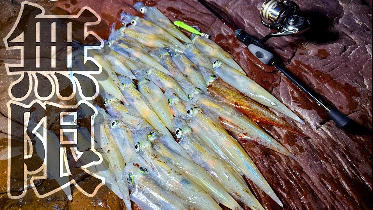 【ヤリイカ】爆釣させるならこの仕掛けがオススメ！3月のヤリイカエギングは激アツですっ‼︎