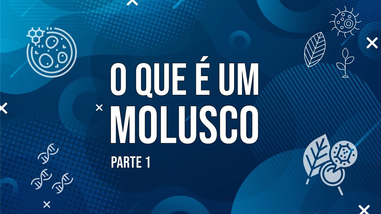 O que é um molusco? (Parte 1)