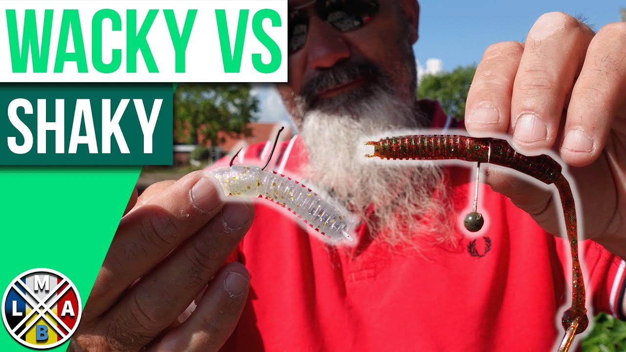 Wacky et Shaky, 2 techniques pour les poissons difficiles ?