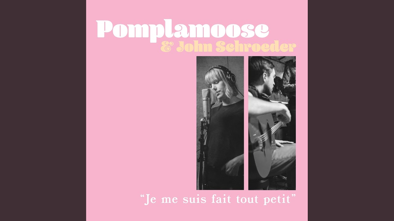 Je Me Suis Fait Tout Petit