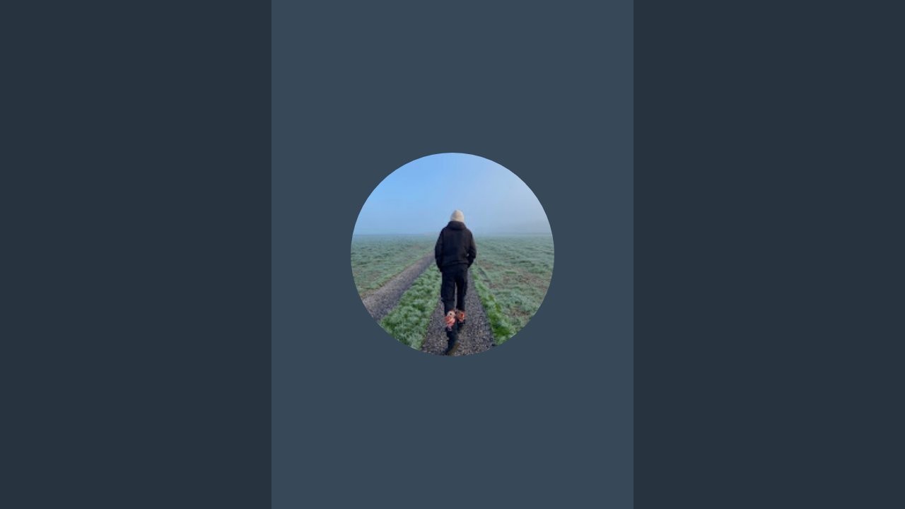 Photograph A Raven With Me