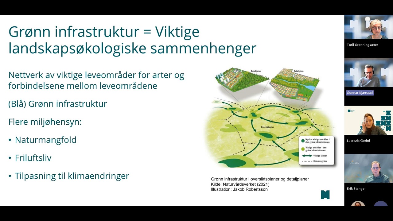 Grønn infrastruktur i norsk natur