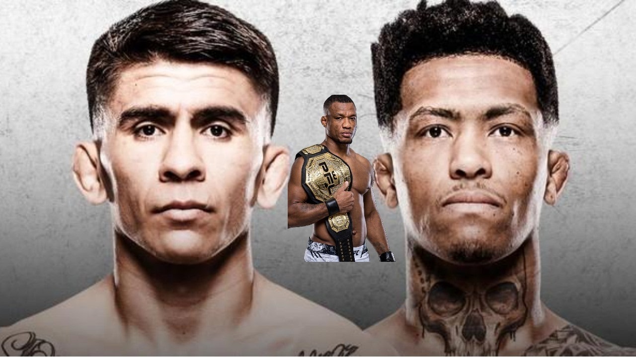 FUTURE PFL CHAMP - UFC FIGHT NIGHT BAUTISTA vs. OLIVIERA BREAKDOWN/PREDICTIONS