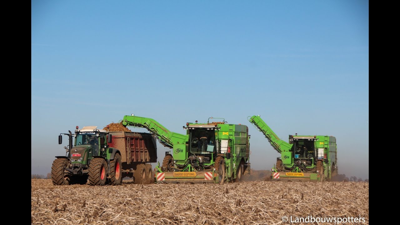 2x AVR Puma 3 - Arrachage Pomme De Terre - Aardappelen Rooien 2016