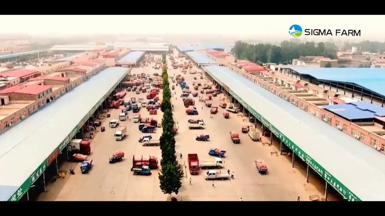 Chinese garlic market- Qixian, Jinxiang, Pizhou, Zhongmu, garlic wholesale and export
