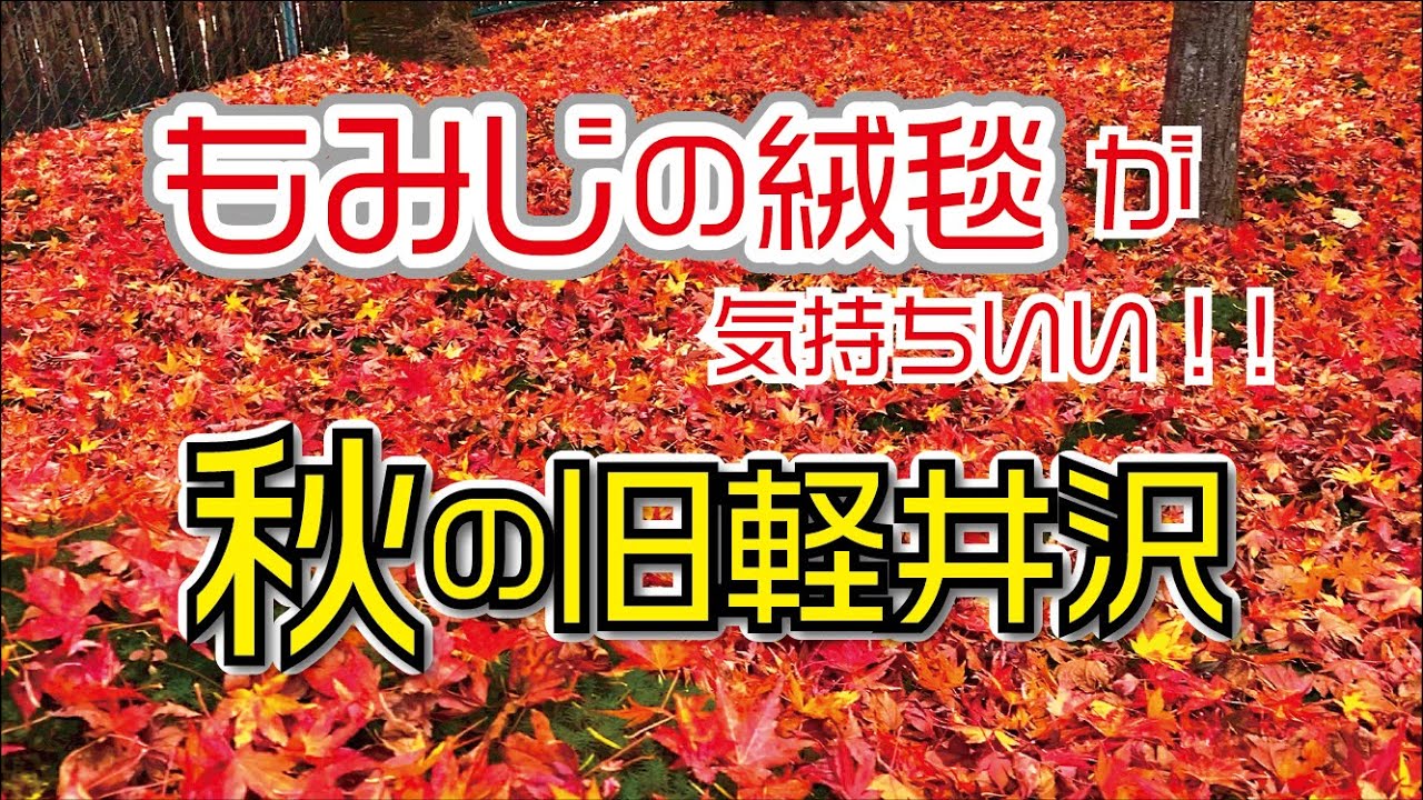 真っ赤な世界を散歩しよう！紅葉といえば旧軽井沢！！