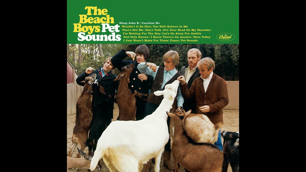 Wouldn't It Be Nice (50th Anniversary Mono) - The Beach Boys
