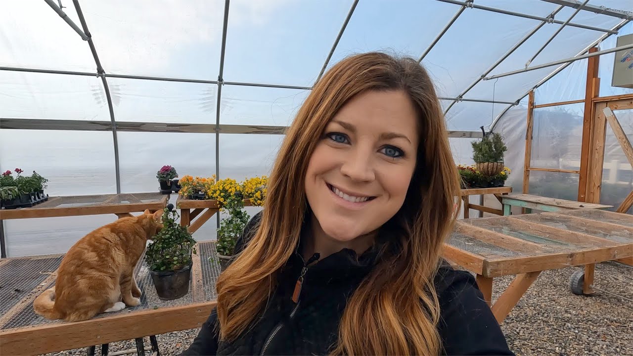 Potting Wire Vine, Making a Festive Succulent Arrangement & Moving the Lemon Cypress! 🪴🕯🌲