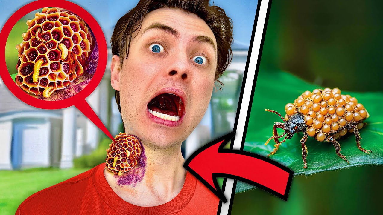 There's a Massive INFESTATION In My House!