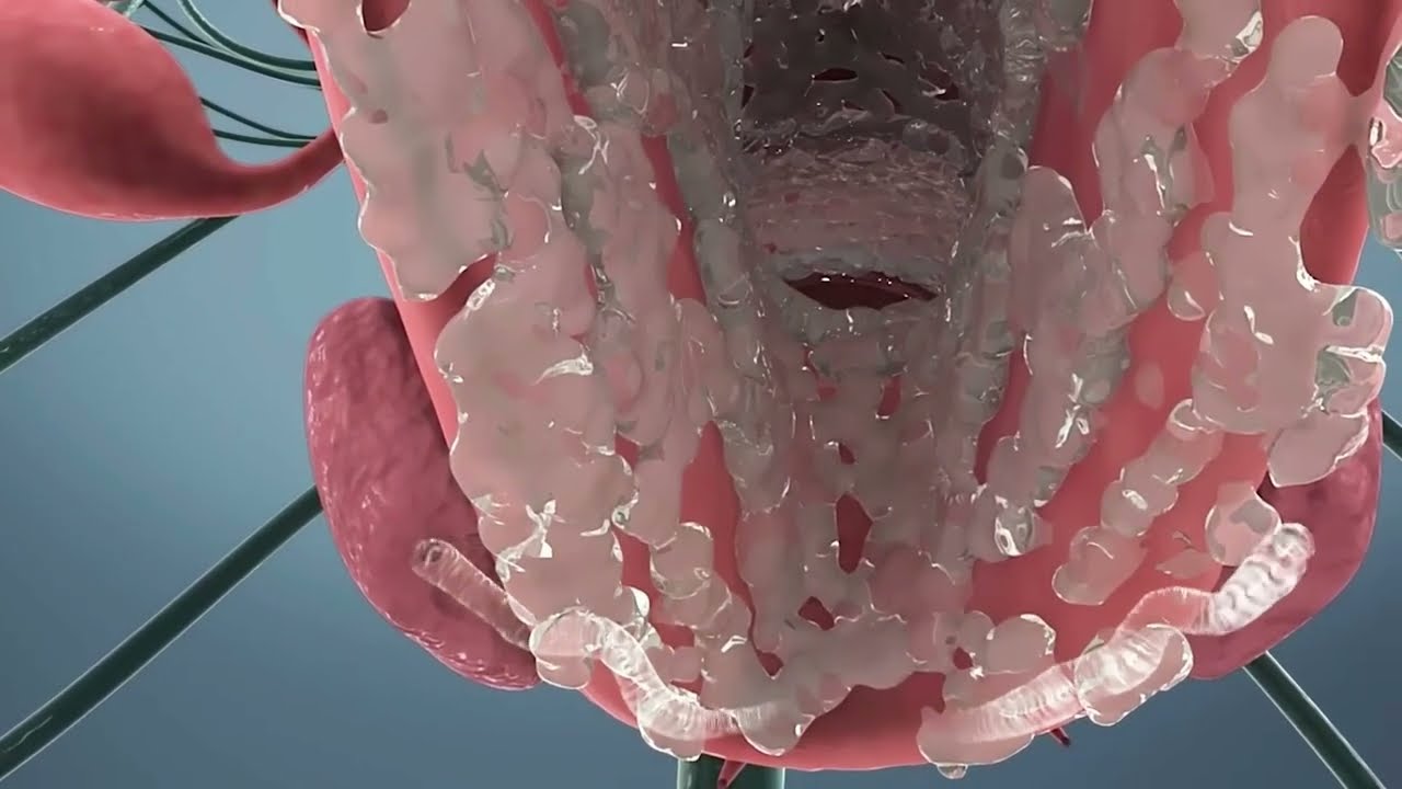 شاهد كيف يحدث القذف عند الانثي (female ejaculation)