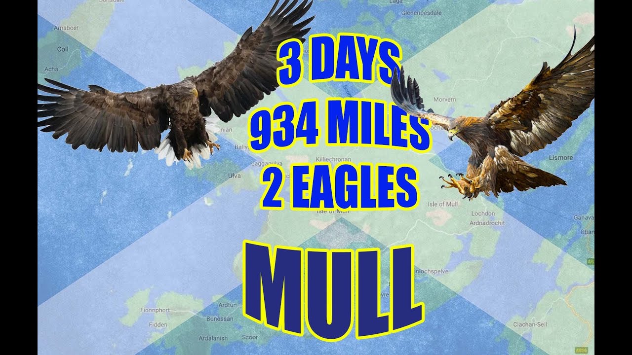 OUR BIGGEST TRIP YET, MULL a tail of 2 eagles
