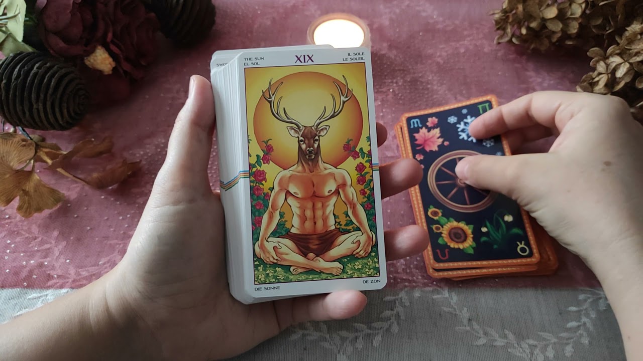 Introduction of Wheel Of the Year Tarot Cards (Flip Through) 💜⚜️