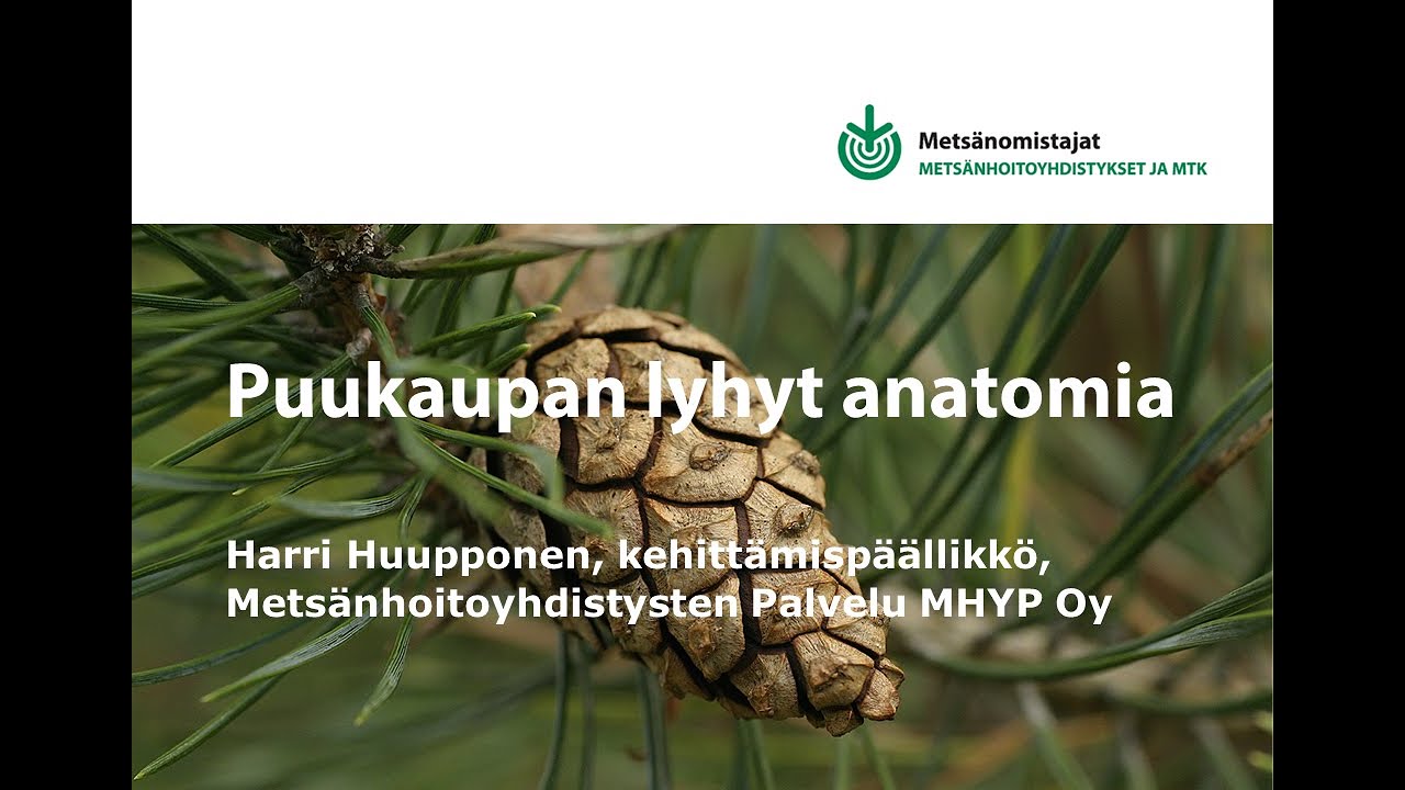 Puukaupan lyhyt anatomia - Metsänomistajat