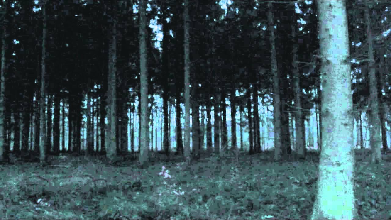 BONES - White Noise [Slowed Down]