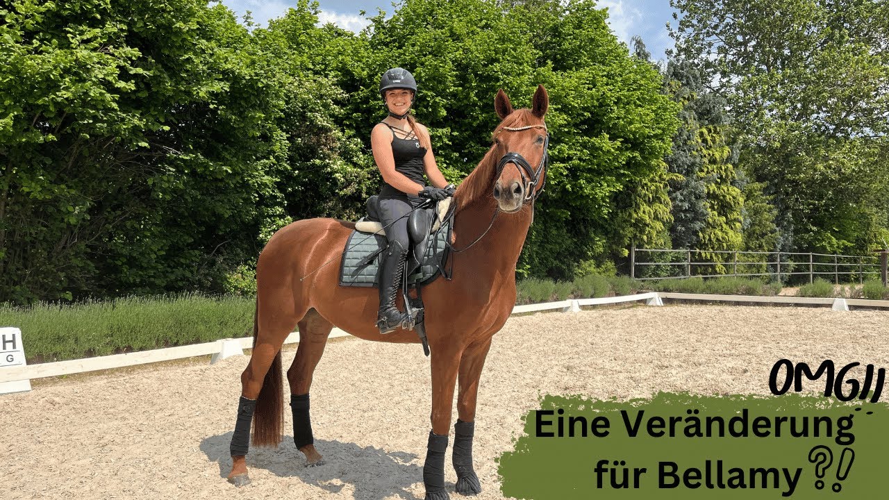 FMA am Stall 🐴 💚  | Marina Schuster