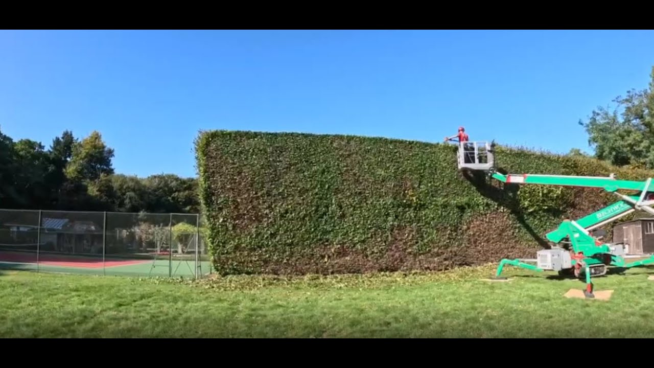 Huge Hedge Trimming Project with 4 Teams On Site