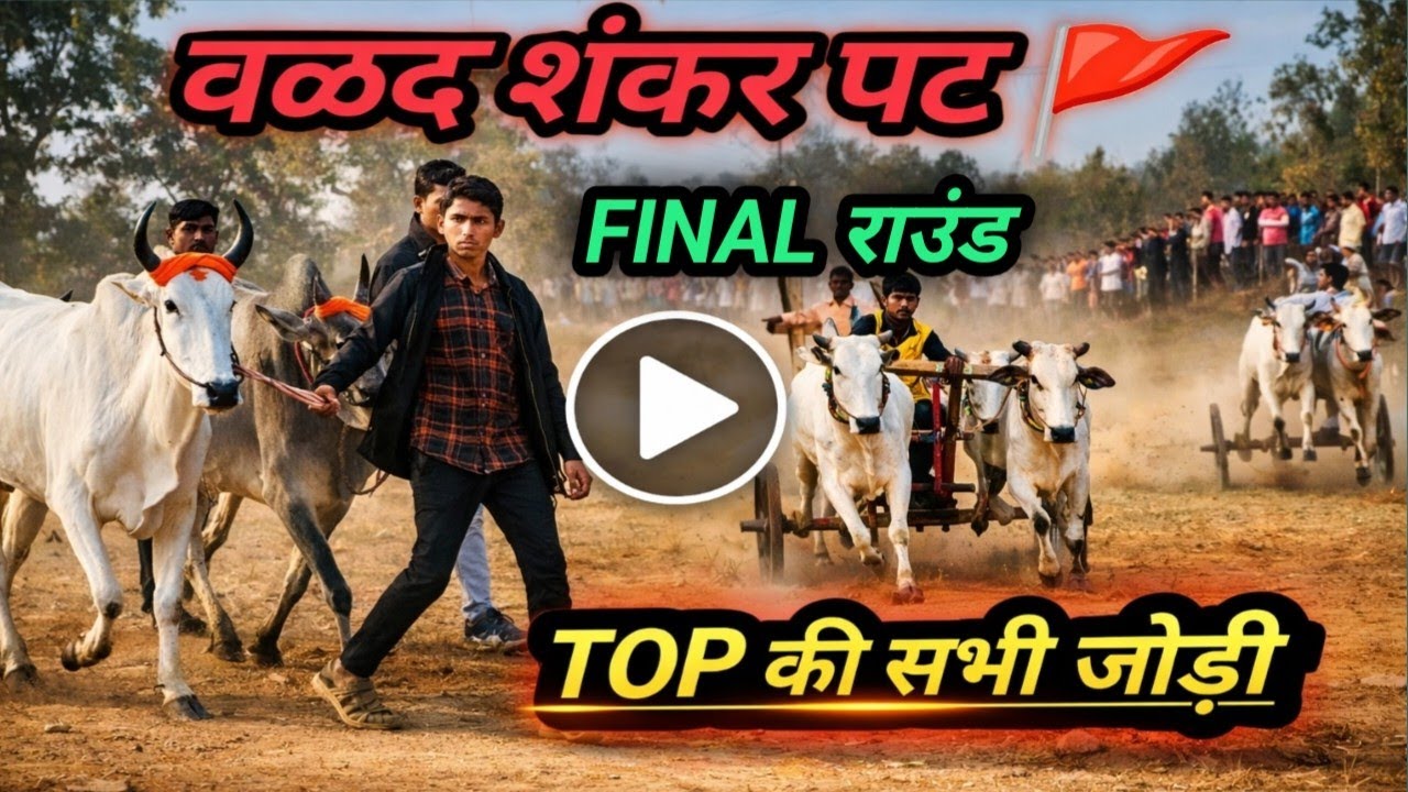 वळद शंकर पट 🚩फाइनल की टॉप जोड़ियां 🐂🏆 #bailgadasharyat #shankarpat #valadshankarpat #hindkesaribail 