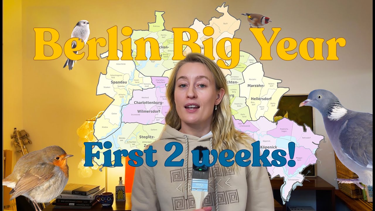 The First 2 Weeks of My Berlin Big Year (32 Bird Species!)