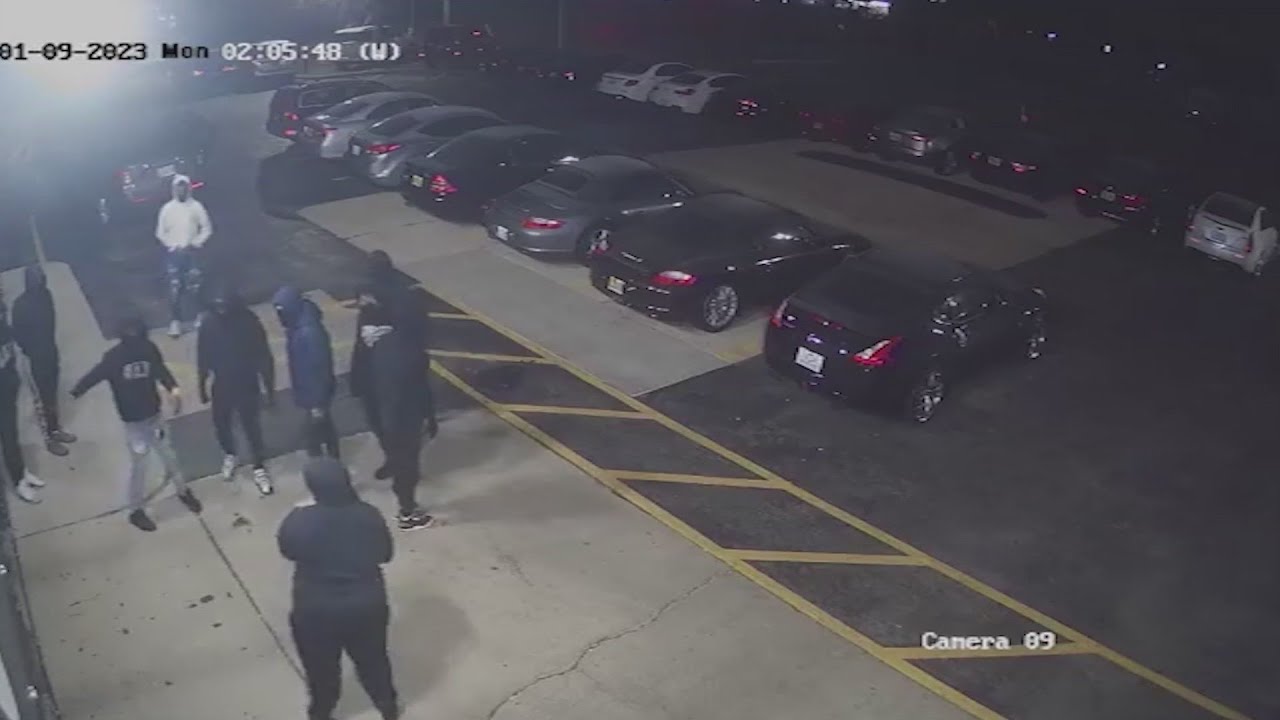 Video shows masked group break into Roselle car dealership