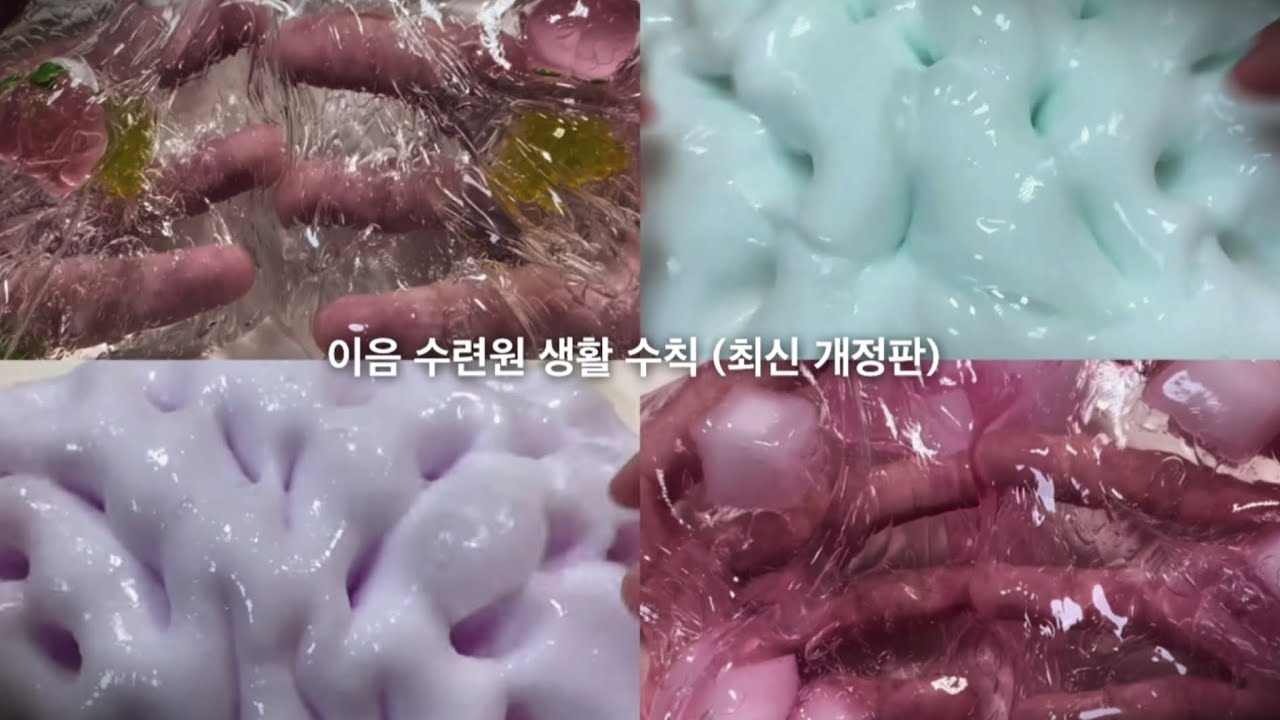 이음 수련원 생활 수칙 (최신 개정판) : 나폴리탄 시리즈 액괴시리즈 시액 실즈 소규모시리즈 소시액 무서운 이야기 공포 괴담 규칙괴담 사례괴담 소름 괴담시리즈 고딕 액괴소설 픽션