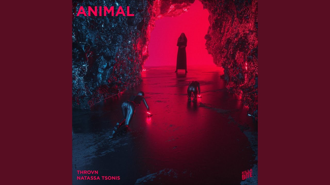 Animal