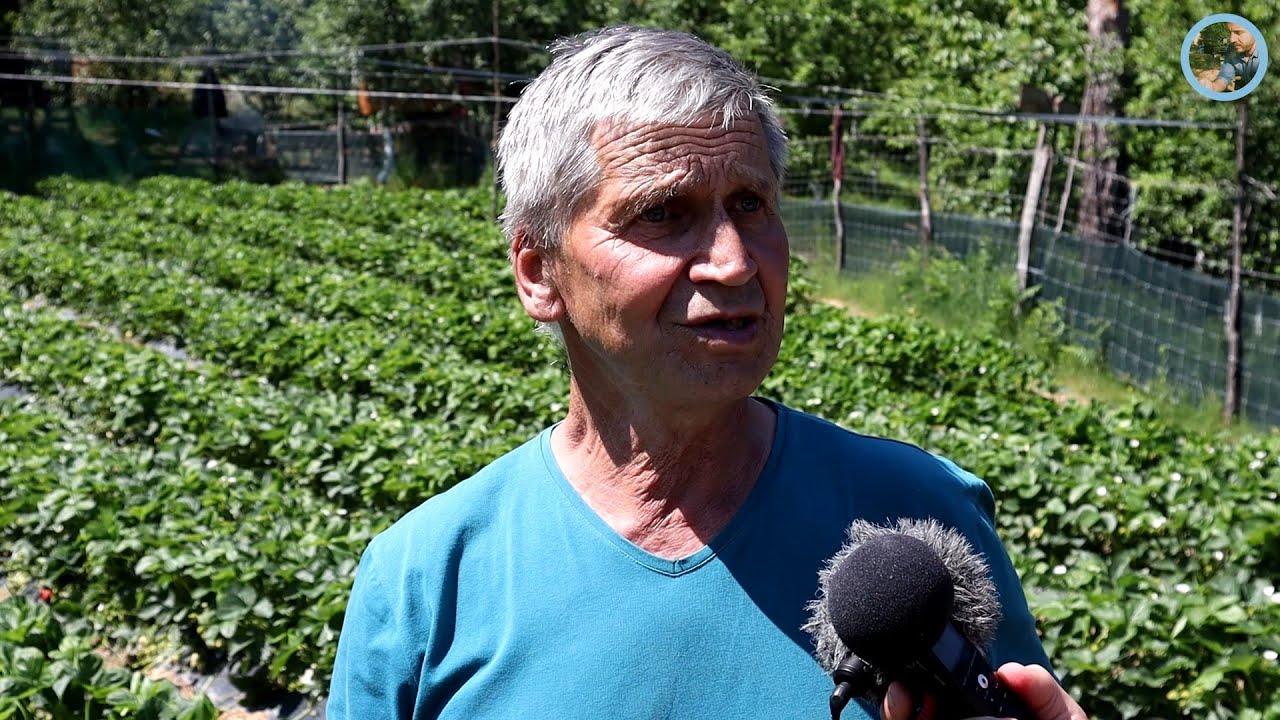 „Dok muž radi ona iskoristila vrijeme da nađe drugog“