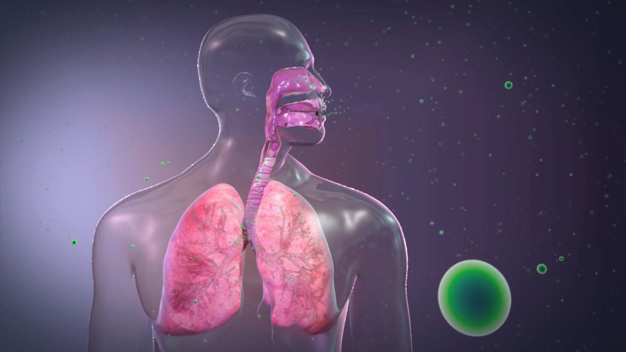 Normal Concentrations and Respiratory Physiology