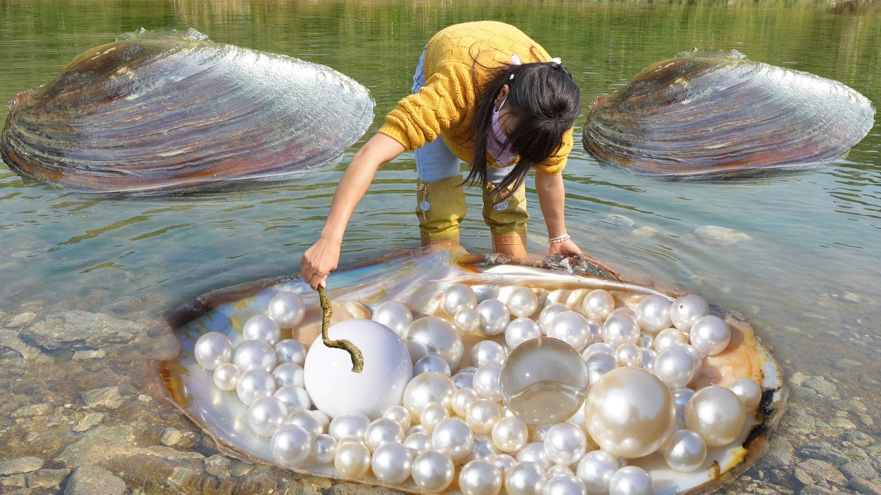 🔮🔮 She Dug for Clams to Survive—Then Found a $10M Diamond Pearl That Broke the Internet