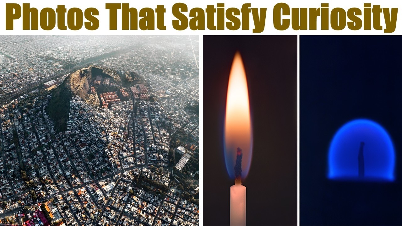 Intriguing Photos and Facts You Absolutely Can't Miss