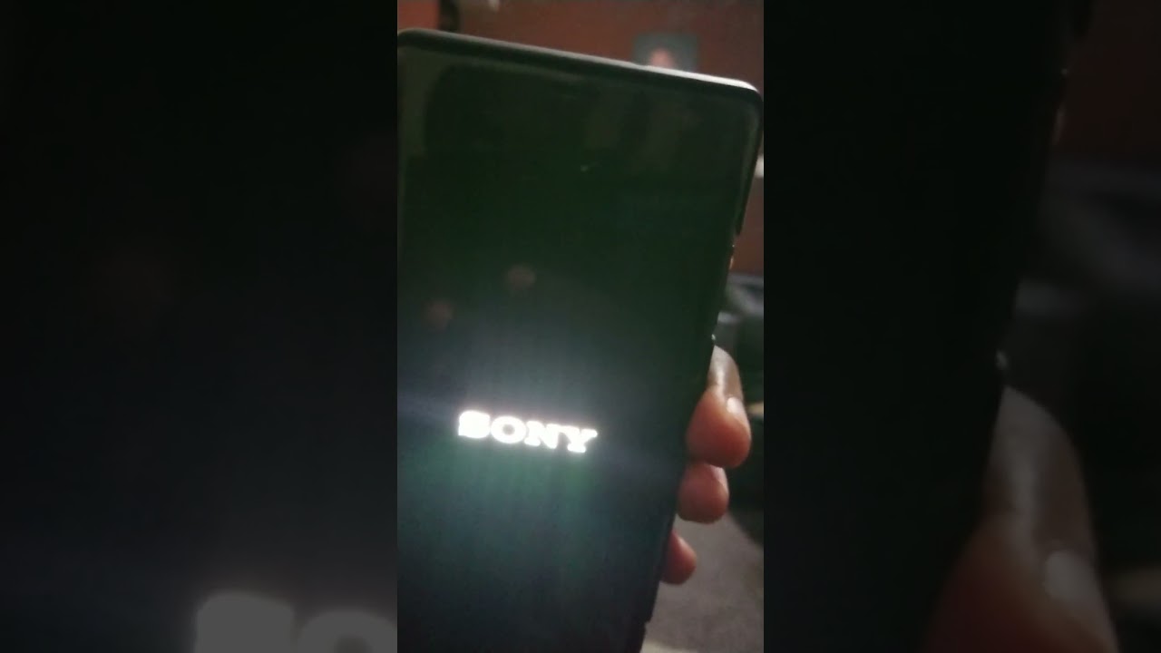 Sony Xperia xz3 problem