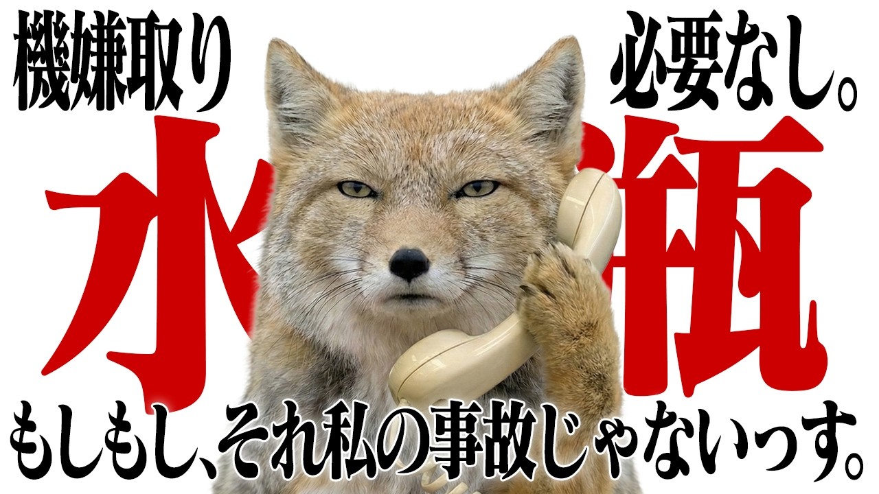 【水瓶座】他人の「不機嫌」をもらってあげる義理はありません。3月、理不尽なストレスを完全ブロックする最強の防衛術。